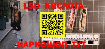 PSILOCYBIN Волжский