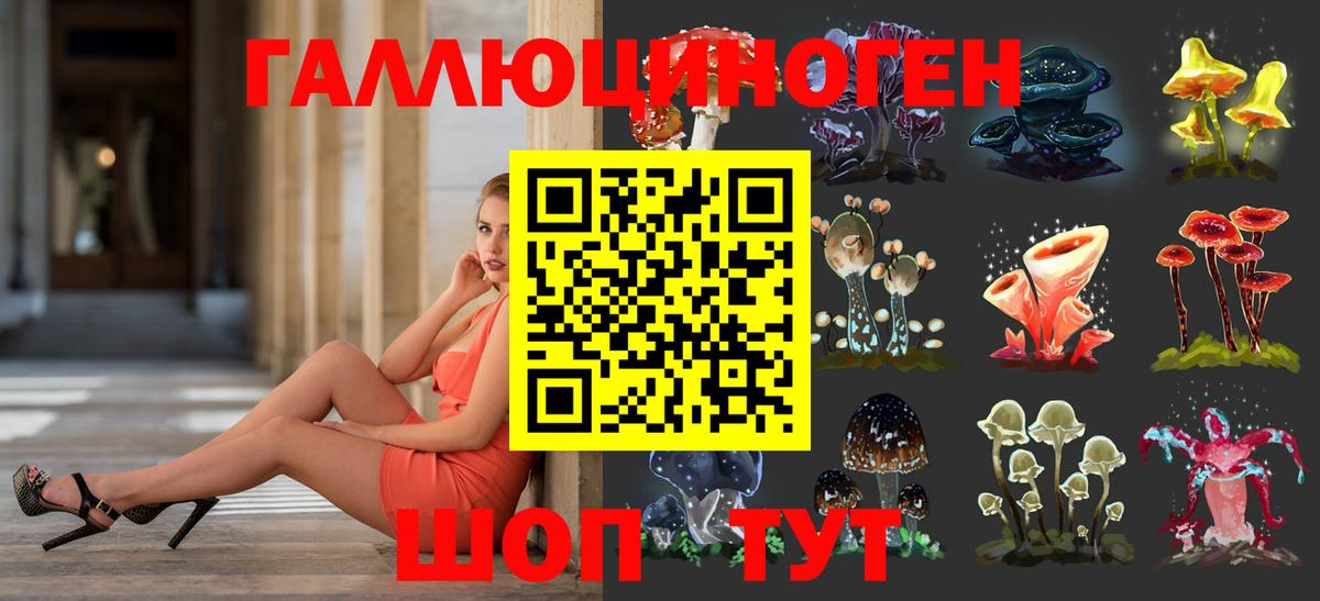 Галлюциногенные грибы Cubensis Краснокамск