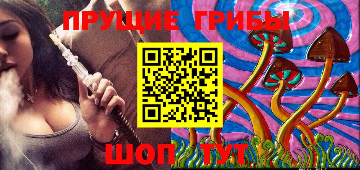 Краснокамск  магазин  наркотиков  Вход с VPN  Псилоцибиновые грибы Psilocybine cubensis 
