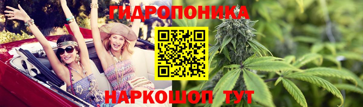 Бошки марихуана White Widow  Шишки марихуана план  Марихуана семена  Канабис Ganja  Краснокамск  Вход с VPN 